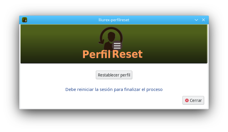 06 PerfilReset ES