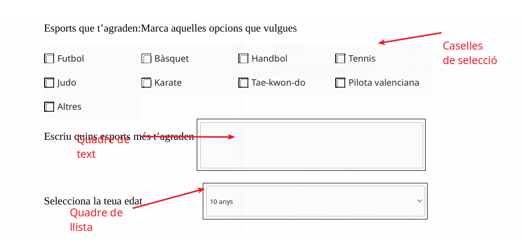 Formulari Acabat 2